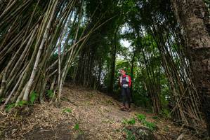 BIB: 
                            <button type="button" onclick="openModal(19395884)" class="btn btn-primary btn-sm float-right btn-popup" data-toggle="modal" data-target=".modal-high-quality">
                        <i class="fas fa-shopping-cart"></i> Add to Cart
                    </button>
                                            <button type="button" onclick="isThisMe(19395884, true)" class="btn btn-success btn-sm float-right btn-popup btn-isme hidden" data-toggle="tooltip" data-placement="bottom" title="นี่คือรูปของคุณใช่ไหม คลิกที่นี่เพื่อเอาเข้าอัลบั้ม">
                        <i class="fas fa-plus"></i> Add to album
                    </button>
                    <button type="button" onclick="isThisMe(19395884, false)" class="btn btn-warning btn-sm float-right btn-popup btn-isnotme hidden">
                        <i class="fas fa-ban"></i> Remove from album
                    </button>